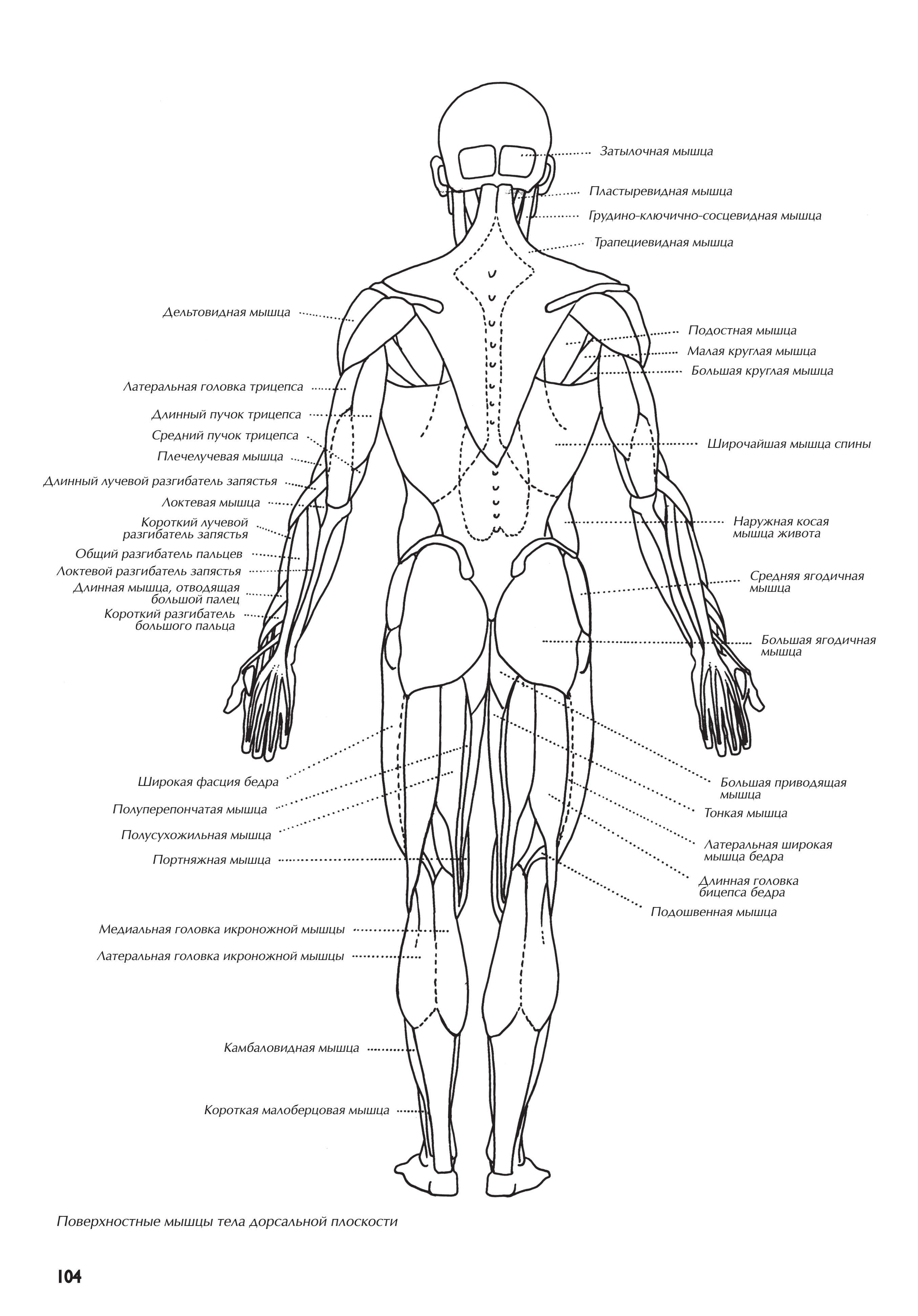 آموزش نقاشی طراحی سیاه قلم شهرری